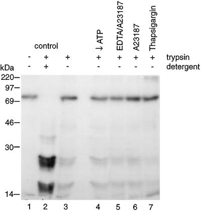 FIG. 6