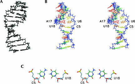 FIGURE 4.