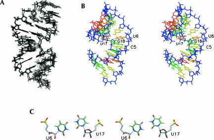 FIGURE 5.