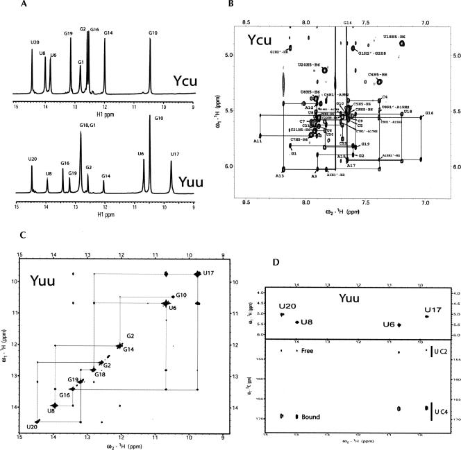 FIGURE 3.