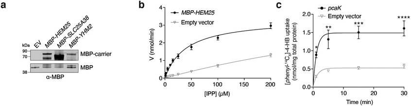 Extended Data Fig. 2