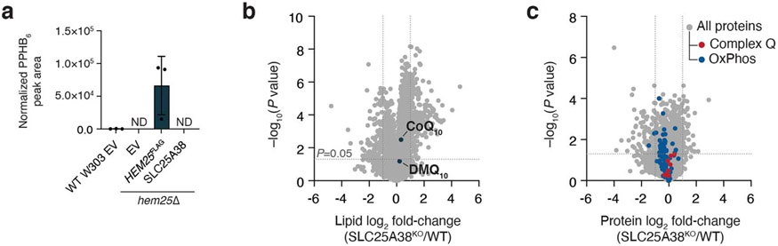 Extended Data Fig. 4