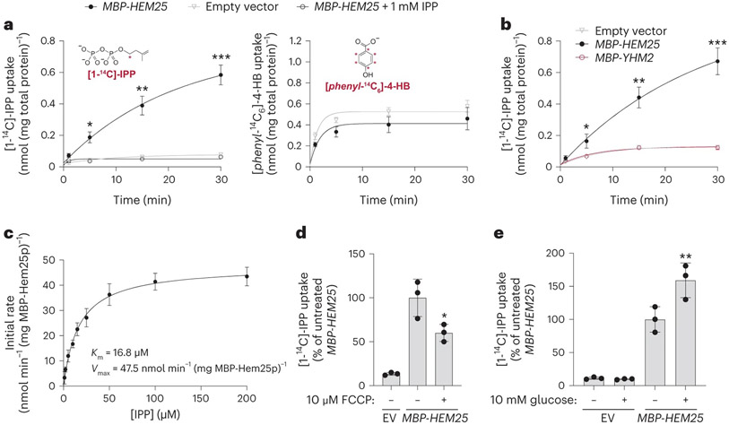 Fig. 4: