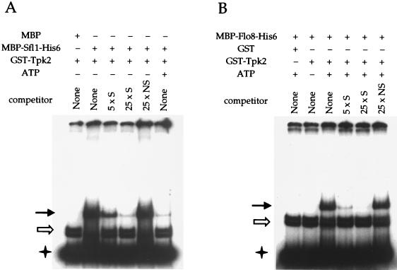 FIG. 5.