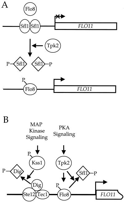 FIG. 7.