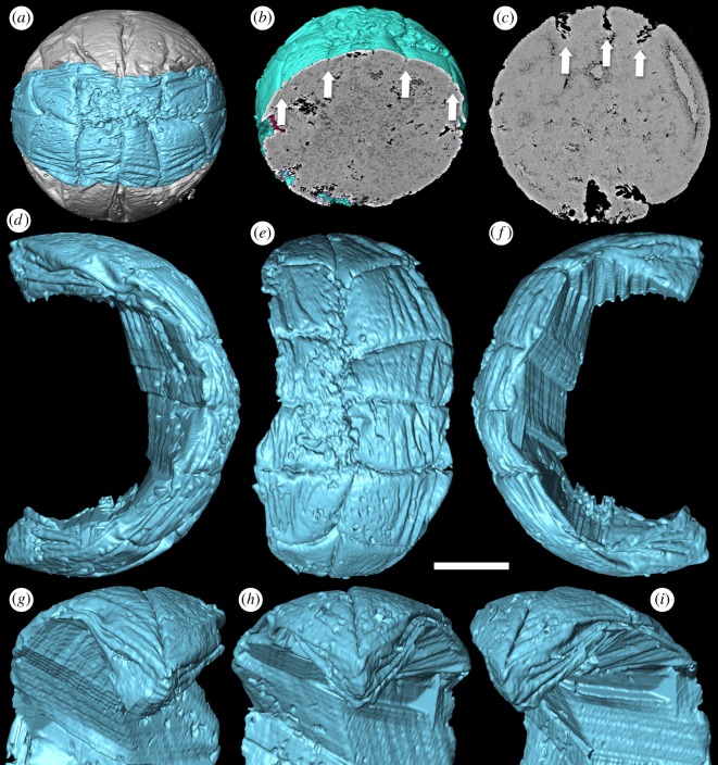 Figure 3.