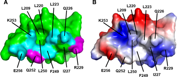 Figure 7.