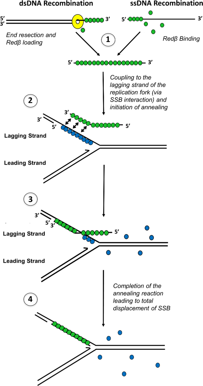 Figure 8.