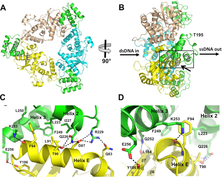 Figure 2.