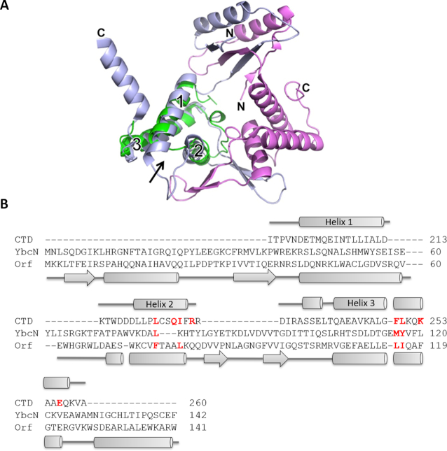 Figure 4.