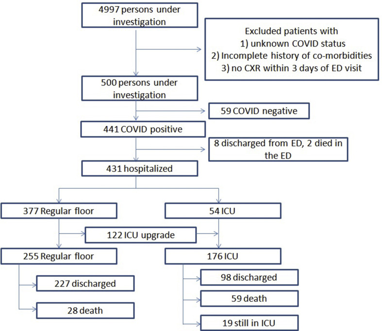 Figure 1