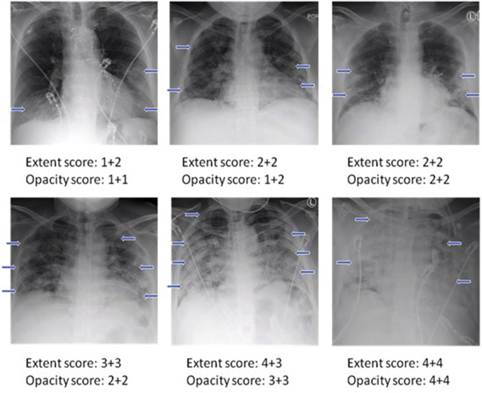 Figure 2