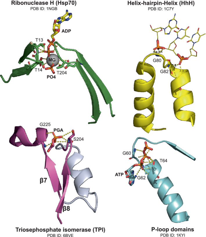 FIGURE 2