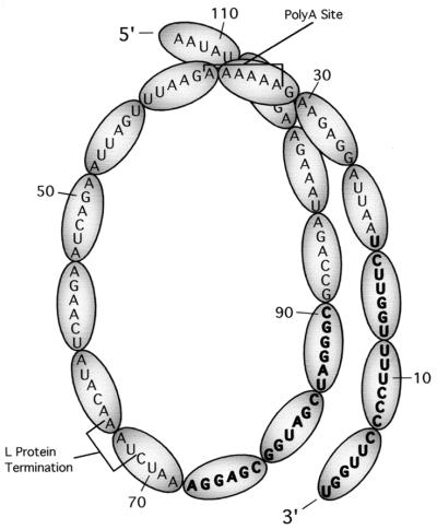 FIG. 8