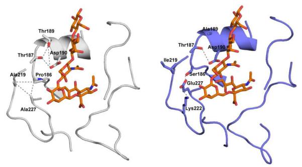 Figure B1