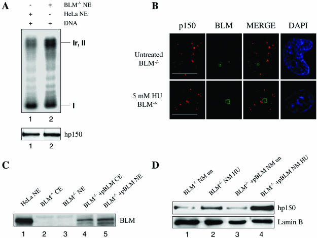 FIG. 6.