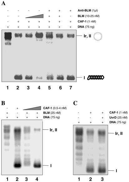 FIG. 5.