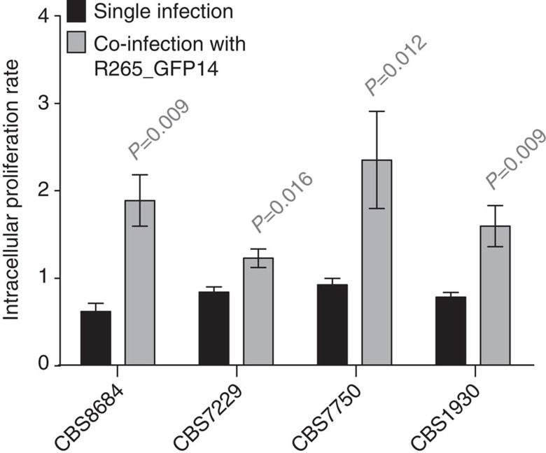 Figure 4