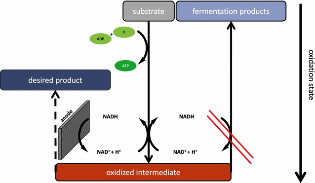 Fig. 1