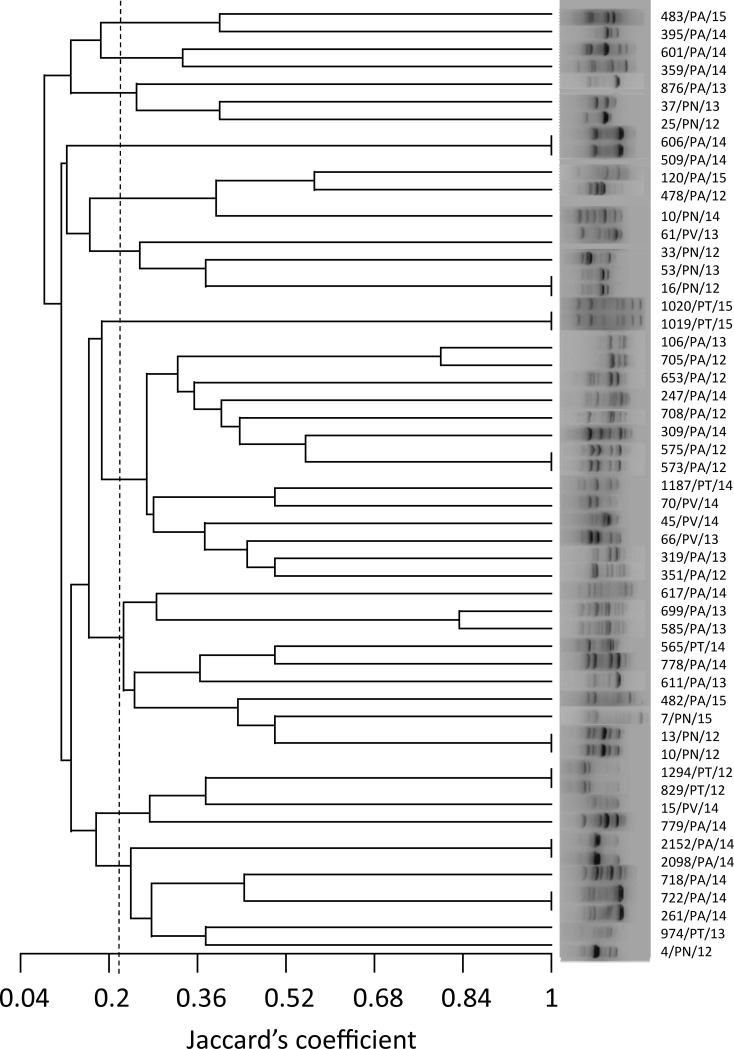 Fig 1