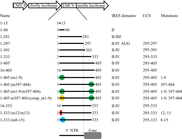 FIG 2