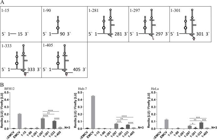 FIG 3