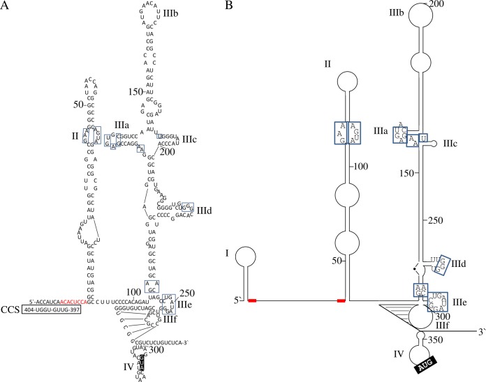 FIG 1