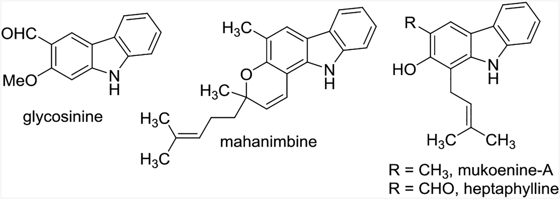 Scheme 22: