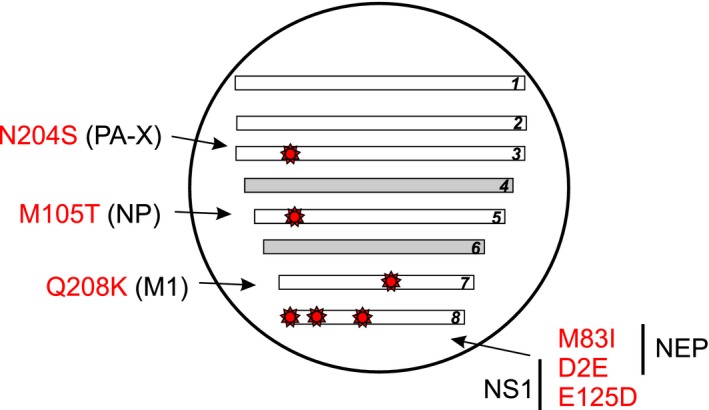 Figure 5