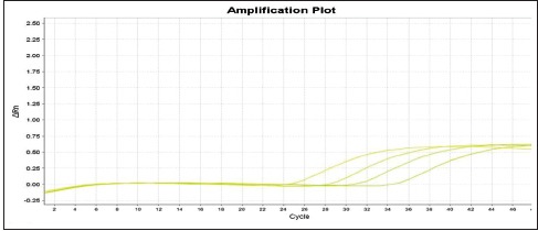 Chart 4