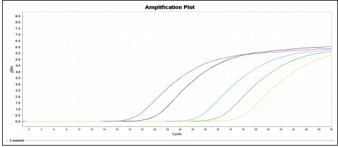 Chart 3