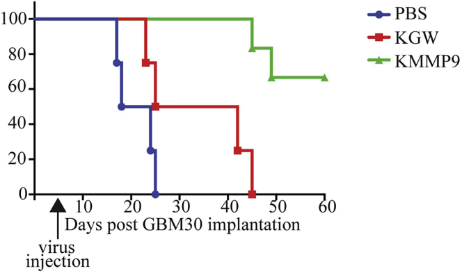 Figure 4