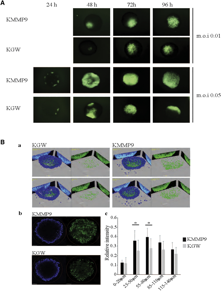 Figure 3