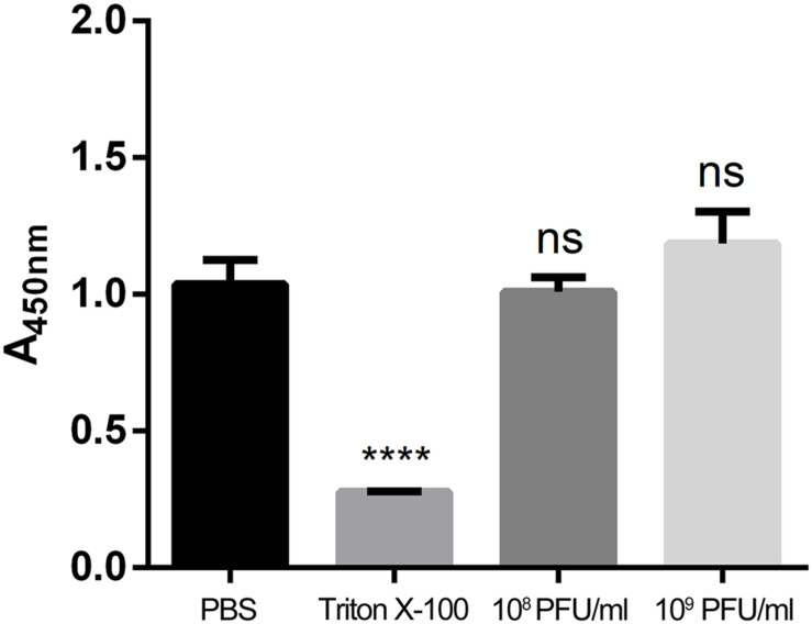 FIGURE 3