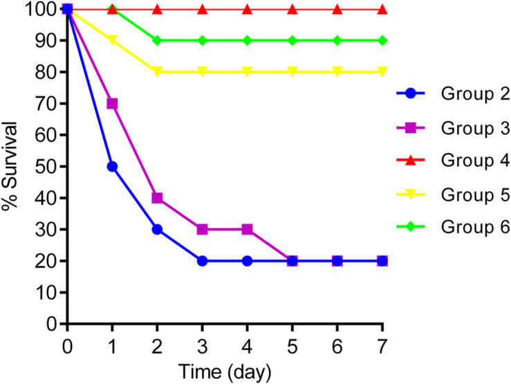 FIGURE 6