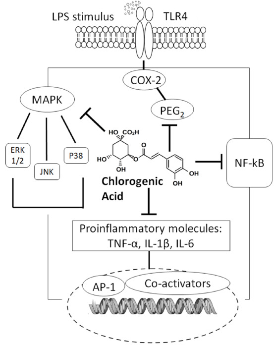 Fig. (1)