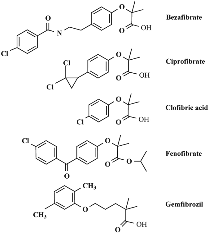 Fig. (1).