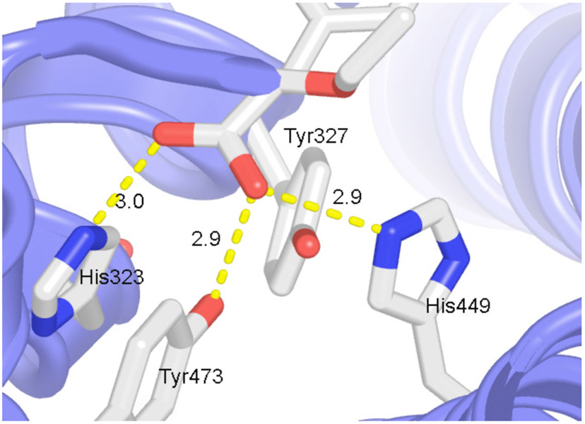 Fig. (4).