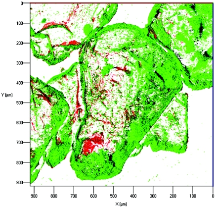 FIG. 6.