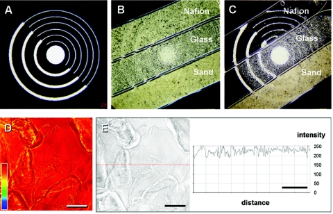 FIG. 2.