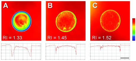 FIG. 1.