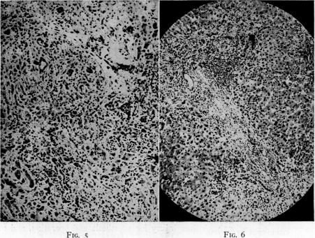 Fig. 5., Fig. 6.