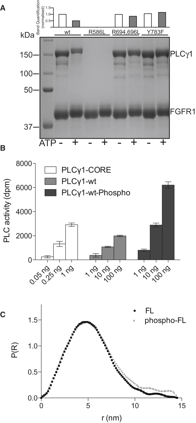 Figure 6