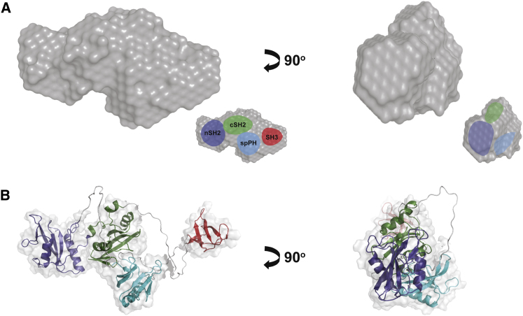 Figure 3