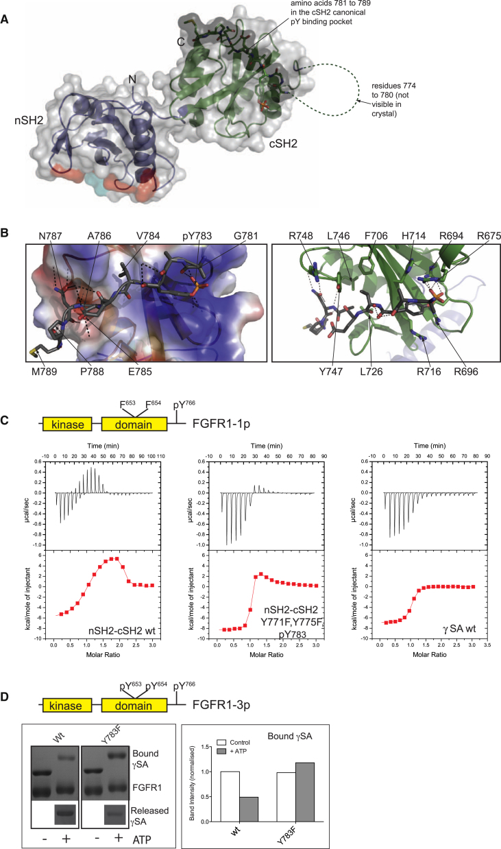 Figure 4