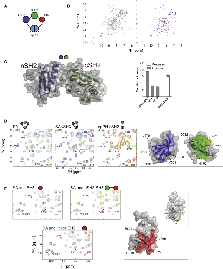 Figure 2