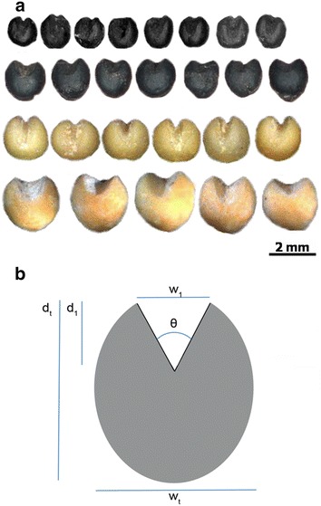 Fig. 2