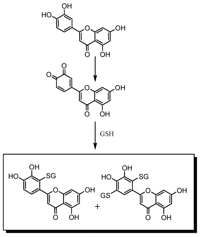 Scheme 2