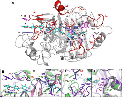 FIGURE 4.