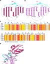 Figure 5—figure supplement 1.